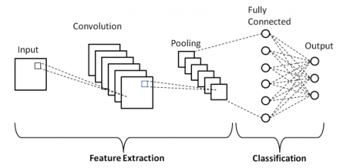 Fresh And Rotten Fruits Classification Using CNN And Transfer Learning ...