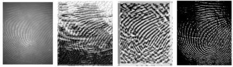 Contactless Multi-biometric System Using Fingerprint And Palmprint ...