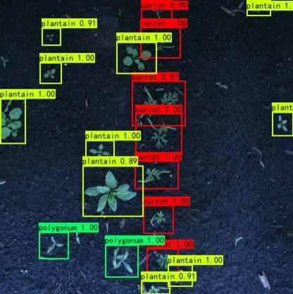 Weed Detection In Images Of Carrot Fields Based On Improved YOLO V4 | IIETA