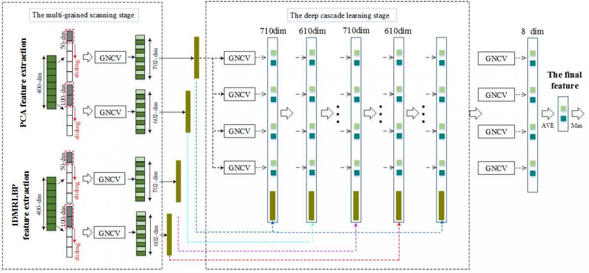 Multi-Grained Deep Cascade Learning for ECG Biometric Recognition | IIETA