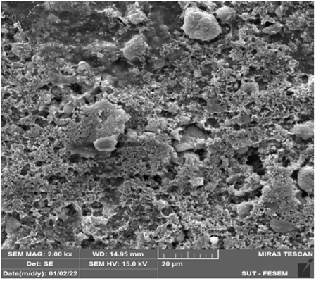 Enhancing The Biocompatibility Of Titanium Implants With Chitosan ...