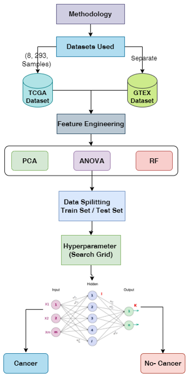 Investigation of Machine Learning on Gene Expression Data for Cancer ...