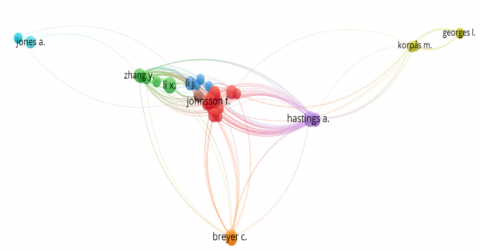 Sustainable Development Goals and Net Zero Emissions Targets