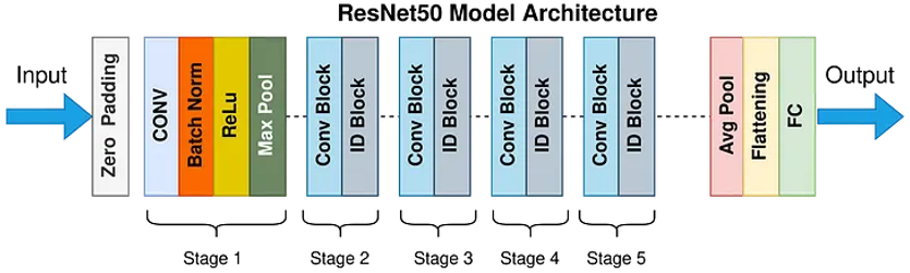 Shrimp Classification Using Generative Adversarial Network with ResNet ...